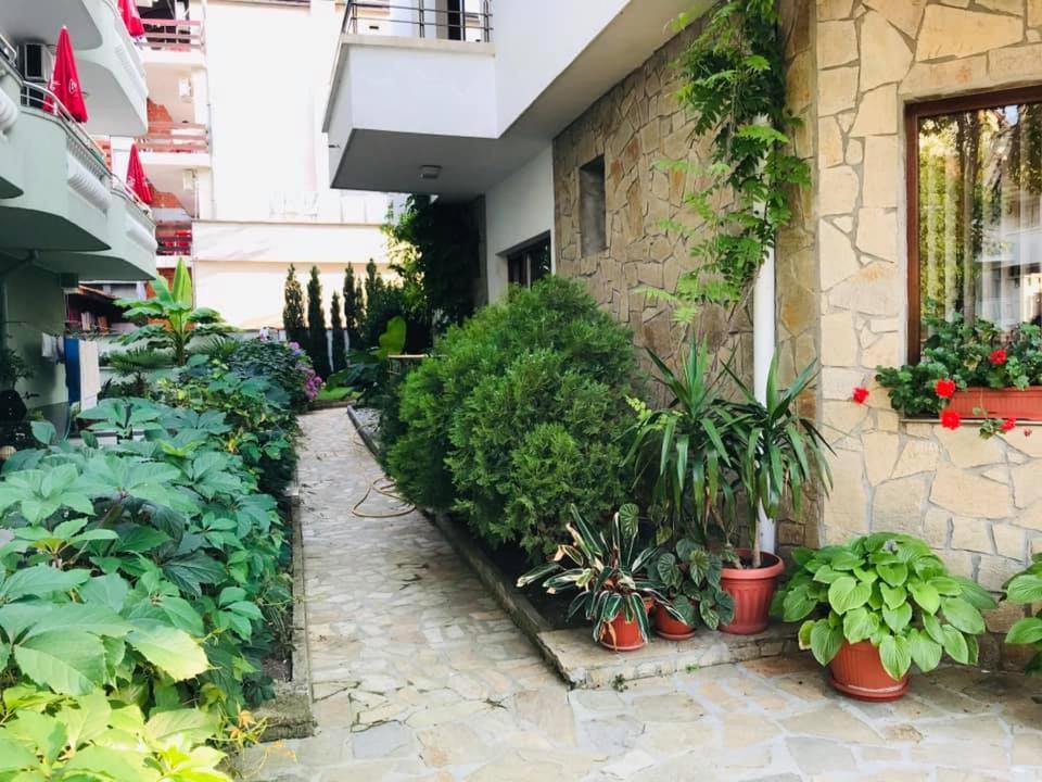 Джорджия Hotell Kiten  Exteriör bild