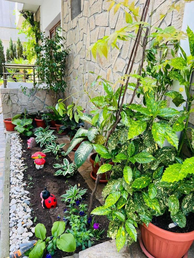 Джорджия Hotell Kiten  Exteriör bild